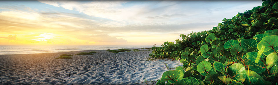 Marriott Vacation Club Florida Beach Vacations