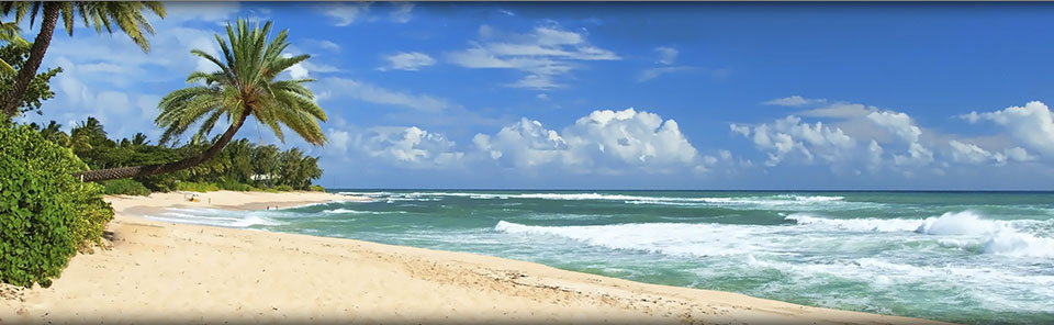 Marriott Vacation Club Beach Vacations