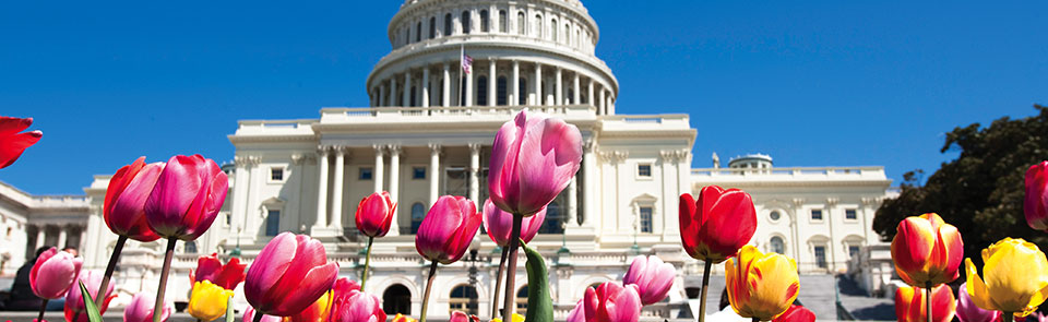 City Vacation Packages