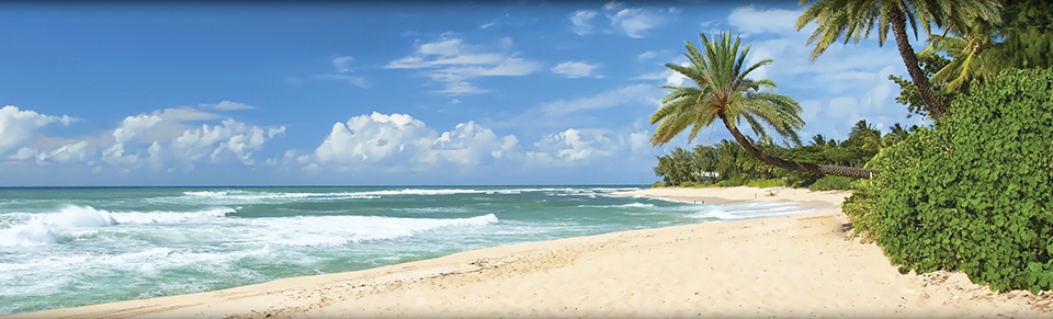 Marriott Vacation Club Beautiful Beach Vacations