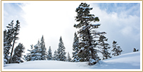 The Ritz-Carlton Club<sup>®</sup>, Lake Tahoe California